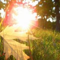 Коли на Тернопільщині чекати осіннього похолодання?