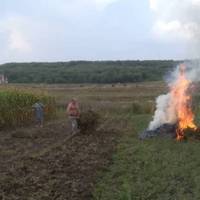 Куди дзвонити, якщо сусіди спалюють сміття: детальна інструкція