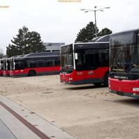 У Тернополі за 80 мільйонів хочуть купити півсотні європейських автобусів