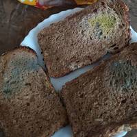 У Тернополі продають хліб із пліснявою (фото)