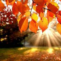 Вересень в Україні буде теплим, дощі очікуються з другого тижня: прогноз погоди на місяць