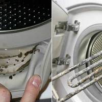 Як очистити пральну машину-автомат — і продовжити термін її служби у 2-3 рази