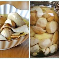 Мариновані білі гриби на зиму. Один з кращих рецептів.