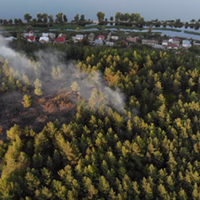 Під Бережанами пожежа: вогонь перекинувся на ліс (ВІДЕО)