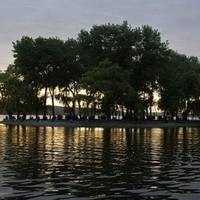 Тернопільський став хочуть зарибити хижаком та «мирною» рибою