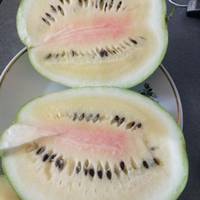 На ринку у Тернополі продають дивні кавуни. ФОТО