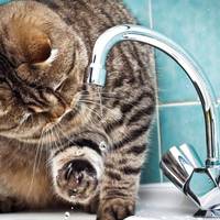 У 8 мікрорайонах Тернополя два дні не буде води