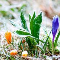 Сьогодні дощ, а далі заморозки - прогноз тернопільських синоптиків