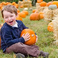 Головний продукт осені: чому потрібно включити у раціон гарбуз