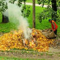 Чому не можна спалювати опале листя