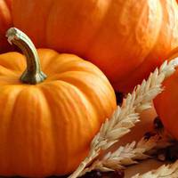 РЕЦЕПТ: 7 неймовірних страв з гарбуза — не встоїть ніхто