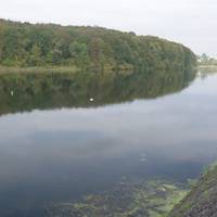 “Водна арена Тернопіль” стане першим водним каналом європейського рівня в Україні. ВІДЕО