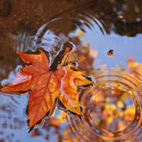 Якою буде погода у Тернополі в перший день жовтня: прогноз