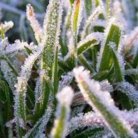 В Україну йде похолодання: сильні заморозки, грози та рясні дощі