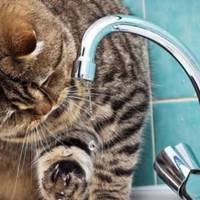 У Тернополі завтра кілька вулиць будуть без води (адреси)