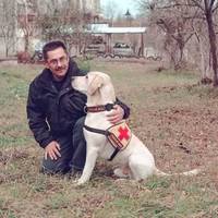 У Тернополі живе пес, який рятує людські життя