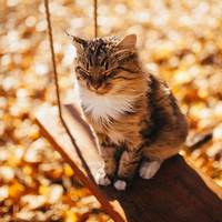 Розкішну погоду на Тернопільщині можуть підпсувати сильні вітри