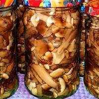 Заготівля на зиму: дуже смачні мариновані опеньки