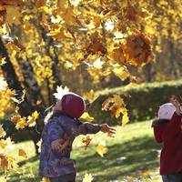 “Бабине літо” радуватиме тернополян ще майже цілий тиждень, обіцяють синоптики