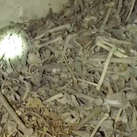 У гробах досі лежать складені рештки померлих, - показали моторошне підземелля у Збаражі. ВІДЕО