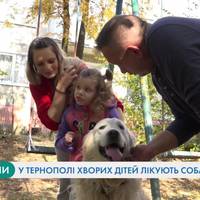 Дітей зі складними хворобами в Тернополі лікують собаки