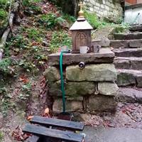 Посеред лісу, в Бережанському районі, є цілюще джерело