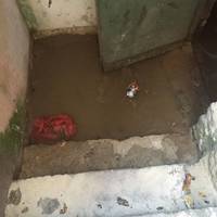 На Чубинського затопило підвал. Комунальники кажуть, що мешканці кидають в унітаз капусту та підгузки