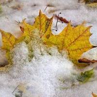 Морози та сніги на порозі: на Тернопільщину йде серйозне похолодання