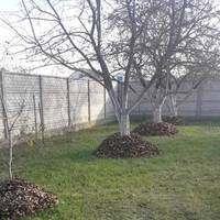 Мешканців Тернопільщини просять підтримати екологічний флешмоб