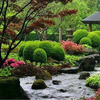 В центрі Тернополя може з’явитися японський сад