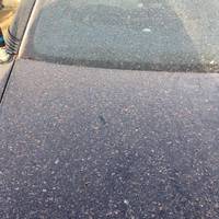 Важко дихати і болить голова: через підприємство на Тернопільщині потерпають люди. ФОТО