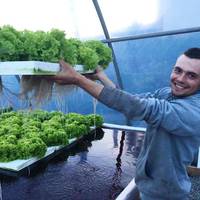 Молоде подружжя єдине на Тернопільщині вирощує салат та їстівні квіти без ґрунту (Фото)