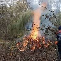 На заборони байдуже: у тернопільському парку комунальники спалюють листя та гілля (відео)