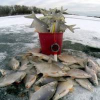 Де на Тернопільщині заборонений вилов риби в зимовий період