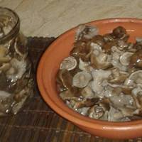 Швидкий рецепт консервування найсмачніших маринованих опеньків!