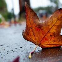 “З дощами, але теплом”: якою буде погода до середини листопада в Тернополі?