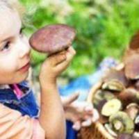 На Тернопільщині 4-річна дитина потрапила до лікарні з діагнозом “отруєння грибами”