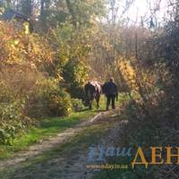 На Тернопільщині є село, в якому залишилося п’ять мешканців (Фото)