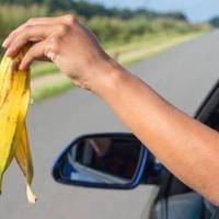 Штраф до 1700 грн: українців почнуть карати за викинуте сміття