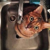 У Тернополі кілька вулиць відключать від водопостачання на один день