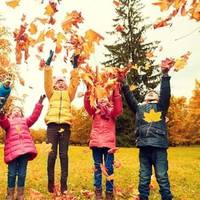 У тернопільських школярів тиждень триватимуть осінні канікули