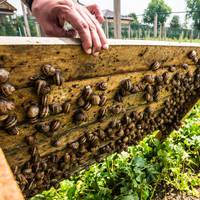 Десять історій успіху простих підприємців, закладів освіти та медицини представили у Тернополі. ВІДЕО