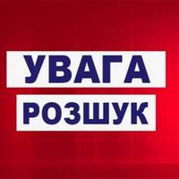 На Тернопільщині пропала дитина. Розшук (Фото)