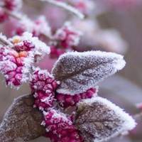 Температура впаде до -12: на вихідних в Україну прийде різке похолодання