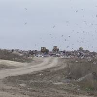 Сміттєсортувальну лінію облаштовують на Малашовецькому сміттєзвалищі. ВІДЕО