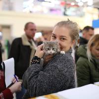 У Тернополі вперше організували благодійний “котоярмарок” (ФОТО)