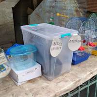 Цуцики в лоточку, котики з чумою, – яких тварин продають на стихійному ринку у Тернополі