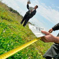 Назвали середню стартову ціну на землю в Тернопільській області