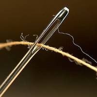 Притча про голку. Ви прочитаєте її за 30 секунд, але запам’ятайте на все життя!