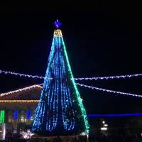 Щільніша і красивіша: якою буде цього року головна ялинка Тернополя. ВІДЕО